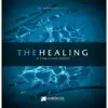 Tom Davis - The Healing